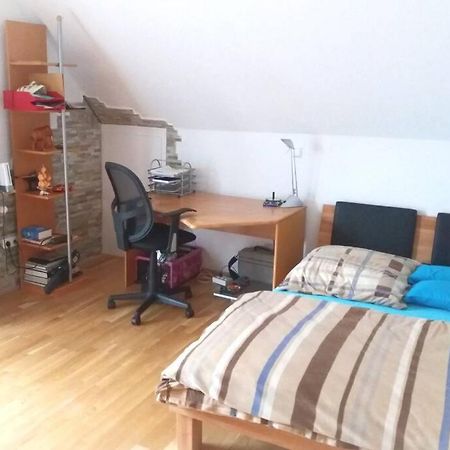 Neue, helle Wohnung in Ludwigsburg, nah am Schloss Exterior foto
